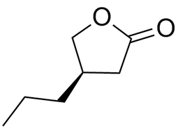 1559100815420274.bmp 1040-03 63095-51-2.bmp